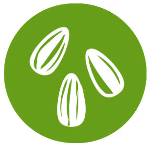 theCookgarden