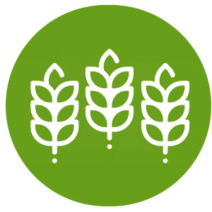 theCookgarden
